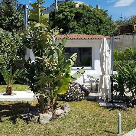 Forio di Ischia Casa Vacanza M&C Ischia מראה חיצוני תמונה