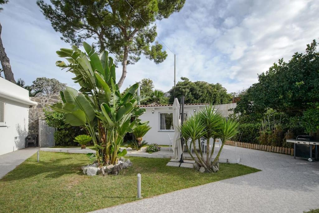 Forio di Ischia Casa Vacanza M&C Ischia מראה חיצוני תמונה