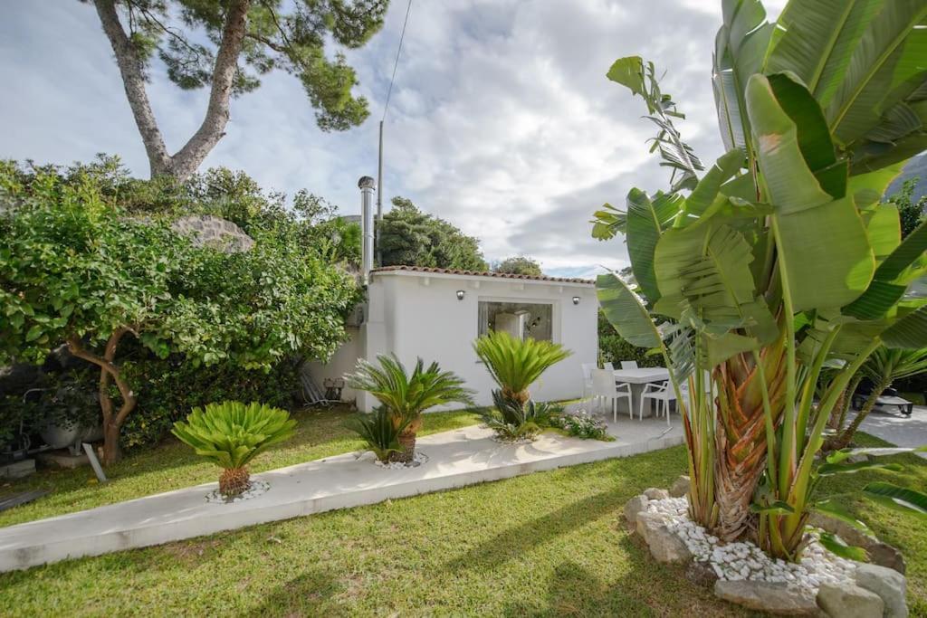 Forio di Ischia Casa Vacanza M&C Ischia מראה חיצוני תמונה